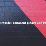 Réponse rapide : comment piéger une grenouille